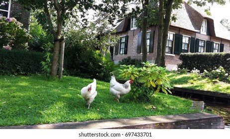 Chicken road slot - Een Gokkast met Een Twist: Chicken Road Casino Online Speelen in Nederland